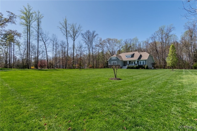 17248 Ivory Bill Ln, Chesterfield, VA 23838 - view of yard