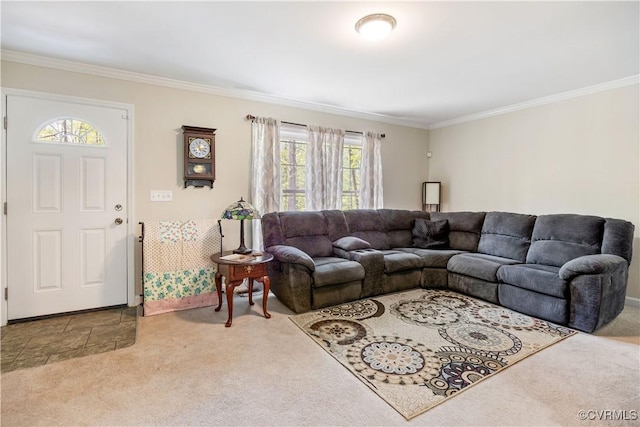 carpeted living area with ornamental molding