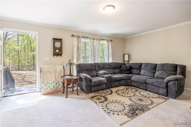 13951 Clementown Rd, Amelia, VA 23002 - living area featuring carpet and ornamental molding