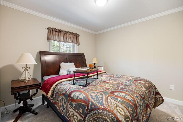 13951 Clementown Rd, Amelia, VA 23002 - bedroom with carpet, crown molding, and baseboards