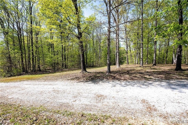 view of nature with a wooded view