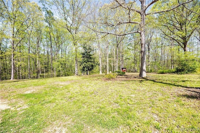 view of yard featuring a forest view