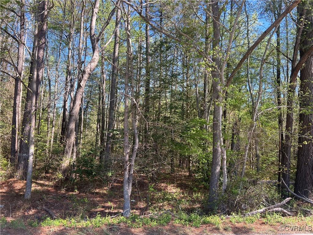 9100 River Rd, Petersburg, VA 23803 - photo 1