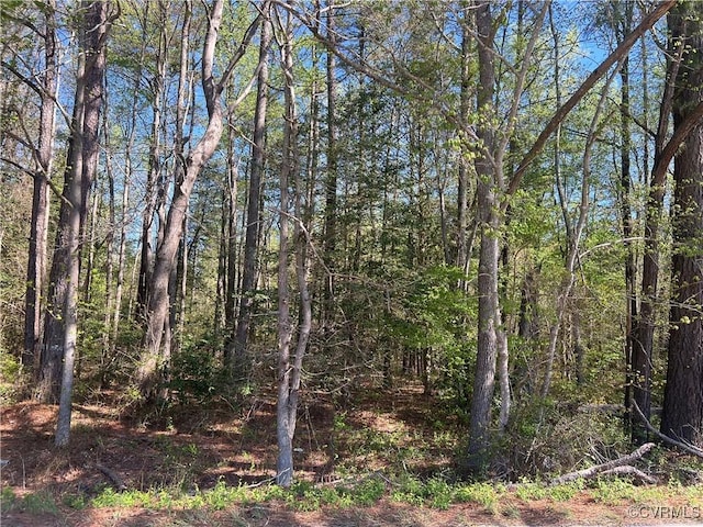 9100 River Rd, Petersburg VA, 23803 land for sale