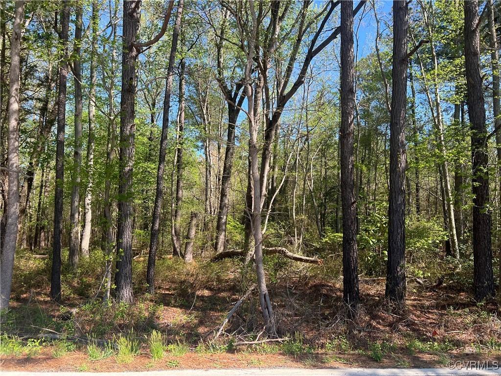 9030 River Rd, Petersburg, VA 23803 - photo 1