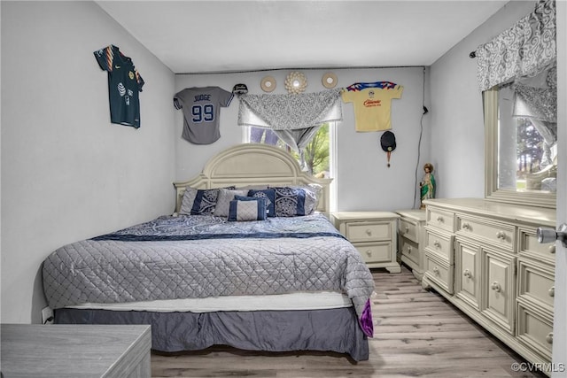 32390 S Main St, Boykins, VA 23827 - bedroom featuring light wood finished floors