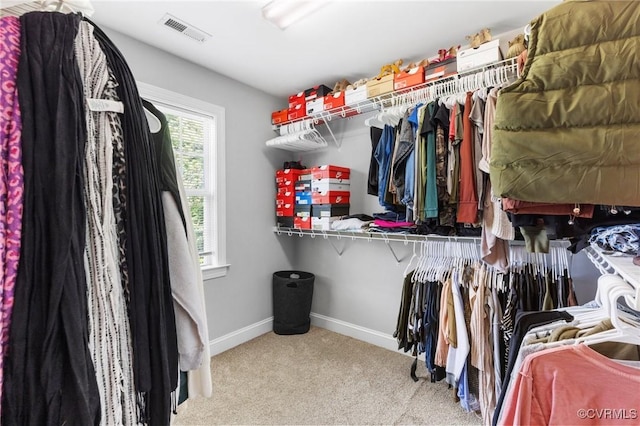 spacious closet with visible vents and carpet flooring