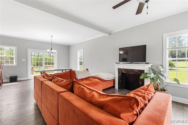 living room with wood-type flooring, a fireplace, a healthy amount of sunlight, and ceiling fan with notable chandelier