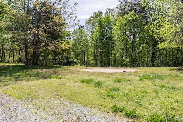 view of nature with a forest view