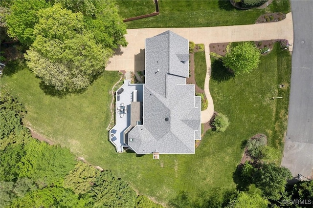 bird's eye view