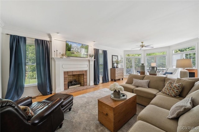 living area with ornamental molding, a fireplace, ceiling fan, and wood finished floors