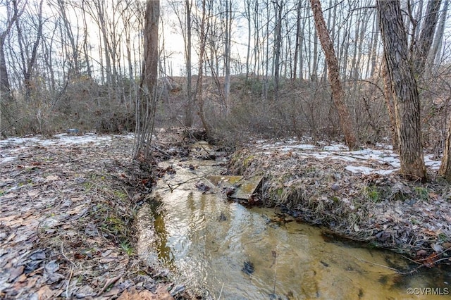 view of local wilderness