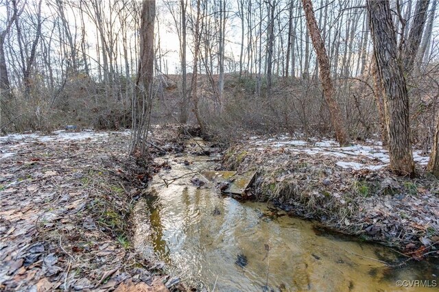 14426 Nelson Hill Rd, Milford, VA 22514 - photo 37