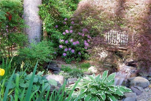 view of nature