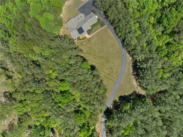 bird's eye view