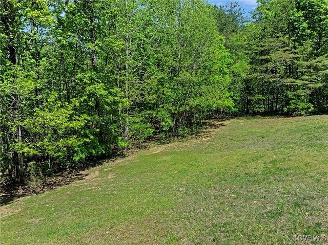 view of yard featuring a forest view