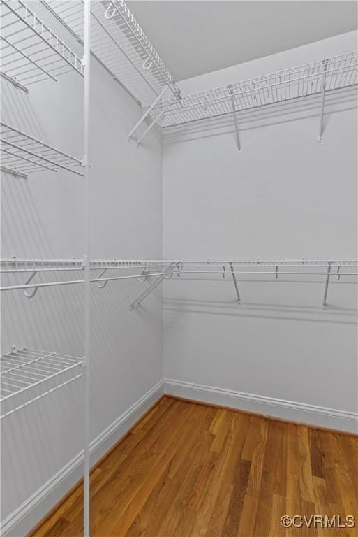 walk in closet with light wood-type flooring