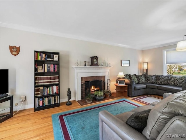 1612 Brookland Pkwy, Richmond, VA 23227 - living area with light wood finished floors, ornamental molding, a fireplace, and baseboards