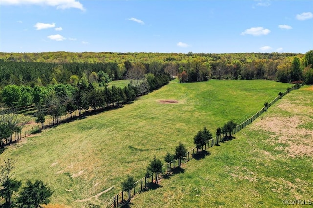 1474 Welsh Tract Rd, Charlotte Courthouse, VA 23923 - view of rural area featuring a forest and a pastoral area