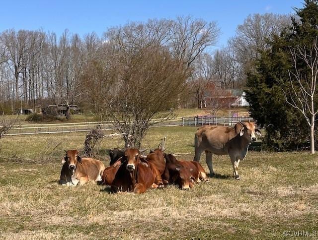 1474 Welsh Tract Rd, Charlotte Courthouse, VA 23923 - view of yard featuring a rural view