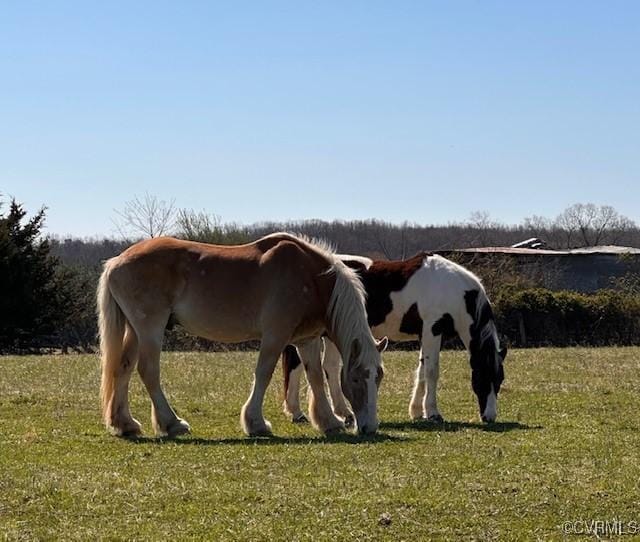 1474 Welsh Tract Rd, Charlotte Courthouse, VA 23923 - view of horse barn