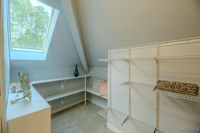 14038 Big Bear Ct, Montpelier, VA 23192 - photo 22