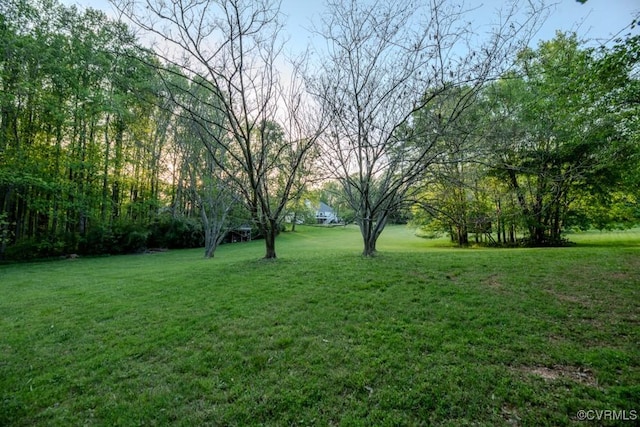 14038 Big Bear Ct, Montpelier, VA 23192 - photo 46