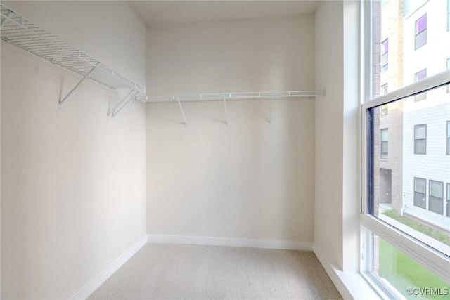 3436 Carlton St Unit 4-5B, Richmond, VA 23230 - walk in closet featuring carpet flooring