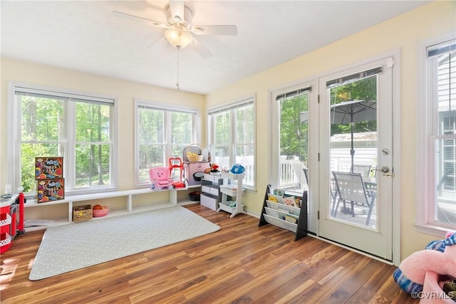 rec room with plenty of natural light, ceiling fan, and wood finished floors