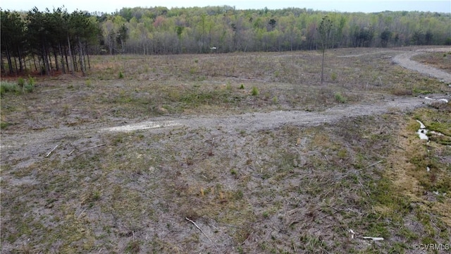 14.862ACRES Prince Edward Hwy, Rice, VA 23966