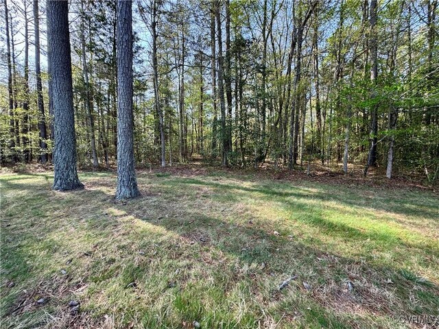 3031 Greywalls Dr, Powhatan, VA 23139 - photo 7