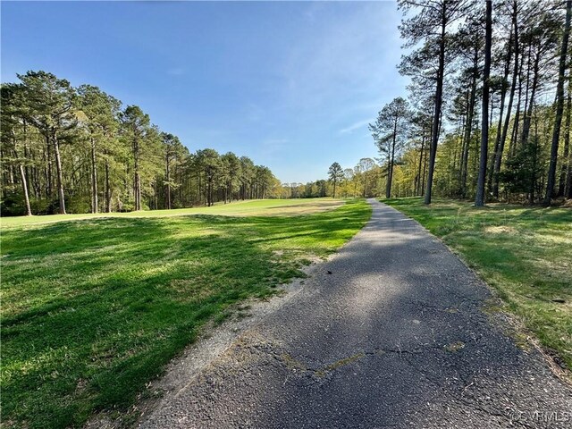3031 Greywalls Dr, Powhatan, VA 23139 - photo 8