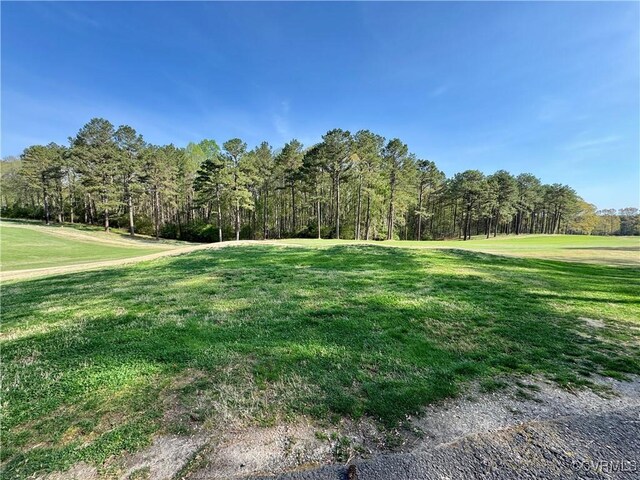3031 Greywalls Dr, Powhatan, VA 23139 - photo 9