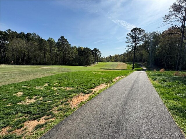 3031 Greywalls Dr, Powhatan, VA 23139 - photo 10