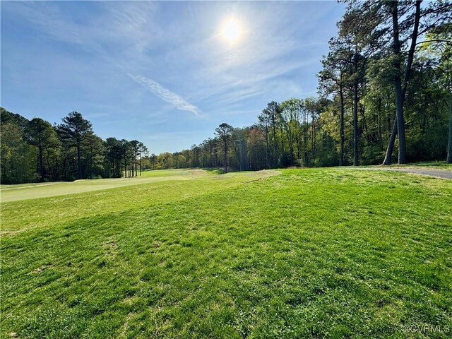 3031 Greywalls Dr, Powhatan, VA 23139 - photo 11