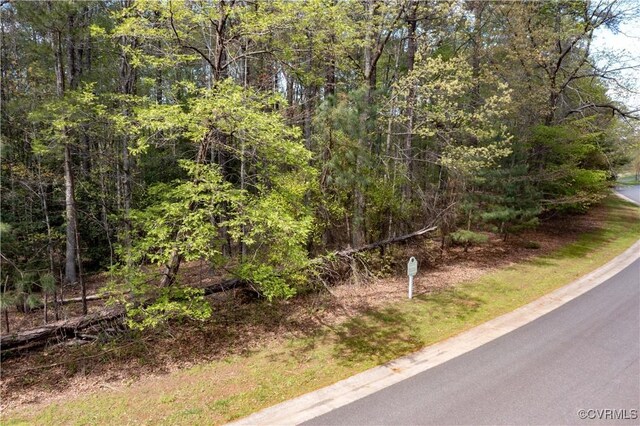 3031 Greywalls Dr, Powhatan, VA 23139 - photo 5