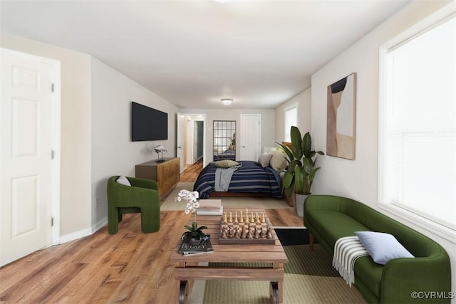 932 Eastern View Rd, King & Queen, VA 23148 - living area featuring baseboards and light wood-style flooring