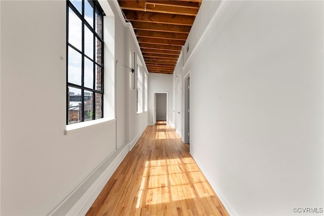 1716 Summit Ave Unit 30, Richmond, VA 23230 - corridor featuring plenty of natural light, light wood-style floors, and baseboards