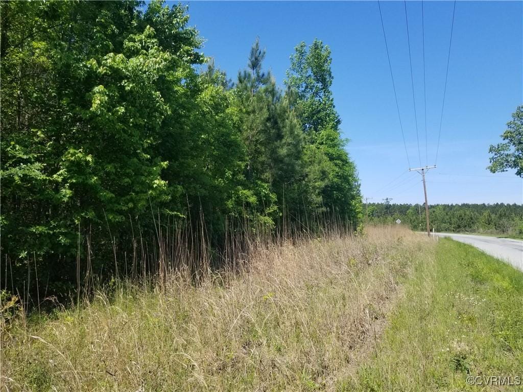 0 Whitehead Rd, Branchville, VA 23828