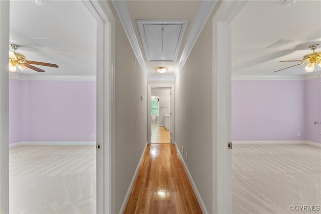 hall featuring baseboards, attic access, carpet floors, and crown molding