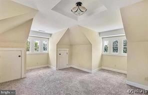 bonus room with carpet floors, baseboards, and lofted ceiling