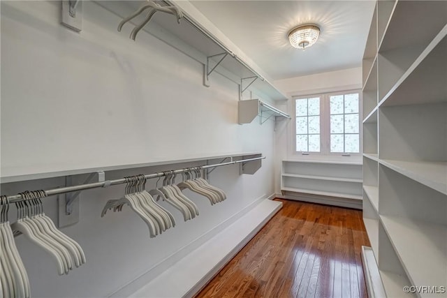 2600 Mulberry Row Rd, Midlothian, VA 23113 - spacious closet featuring wood-type flooring