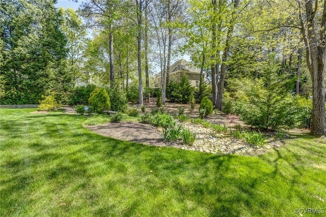 2600 Mulberry Row Rd, Midlothian, VA 23113 - view of green lawn