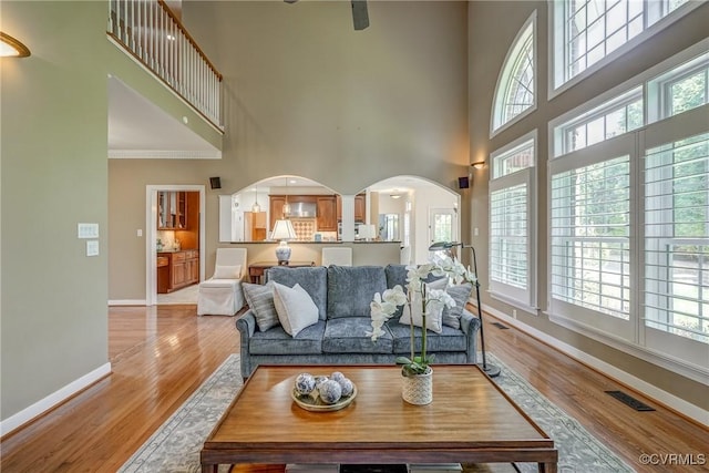 2600 Mulberry Row Rd, Midlothian, VA 23113 - living area featuring arched walkways, a towering ceiling, healthy amount of natural light, baseboards, and light wood-style floors
