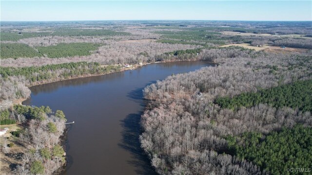 LOT9 Colemans Lake Rd, Ford, VA 23850 - photo 11