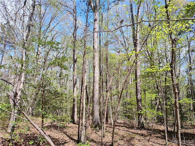 LOT9 Colemans Lake Rd, Ford, VA 23850 - photo 48