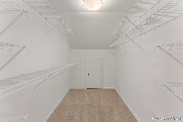 spacious closet with carpet