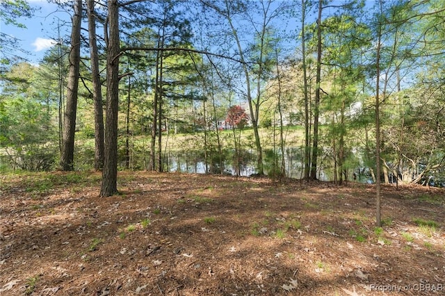 property view of water