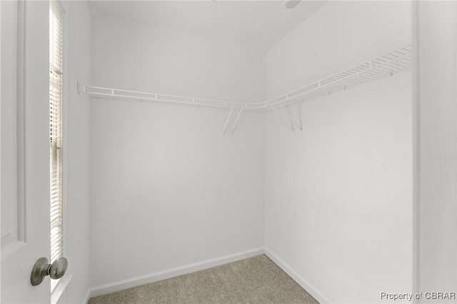 walk in closet with carpet