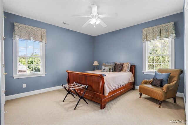 12200 Campbell Creek Rd, Ashland, VA 23005 - photo 37